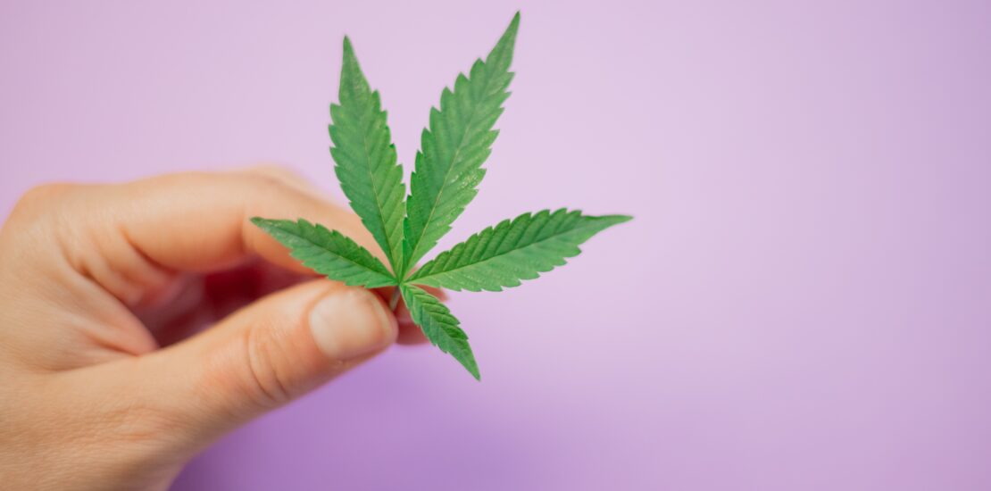 Une main tenant une feuille de cannabis, suggérant le besoin d'un avocat criminel.