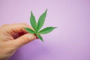 Une main tenant une feuille de cannabis, suggérant le besoin d'un avocat criminel.
